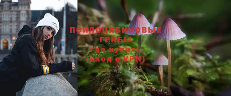 МЕГА ссылка  Ардатов  Псилоцибиновые грибы MAGIC MUSHROOMS 